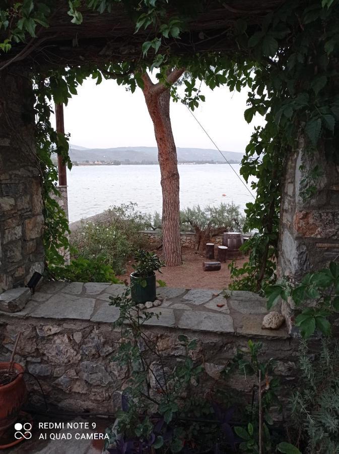 Natali'S Villa By The Sea Като-Гацеа Экстерьер фото